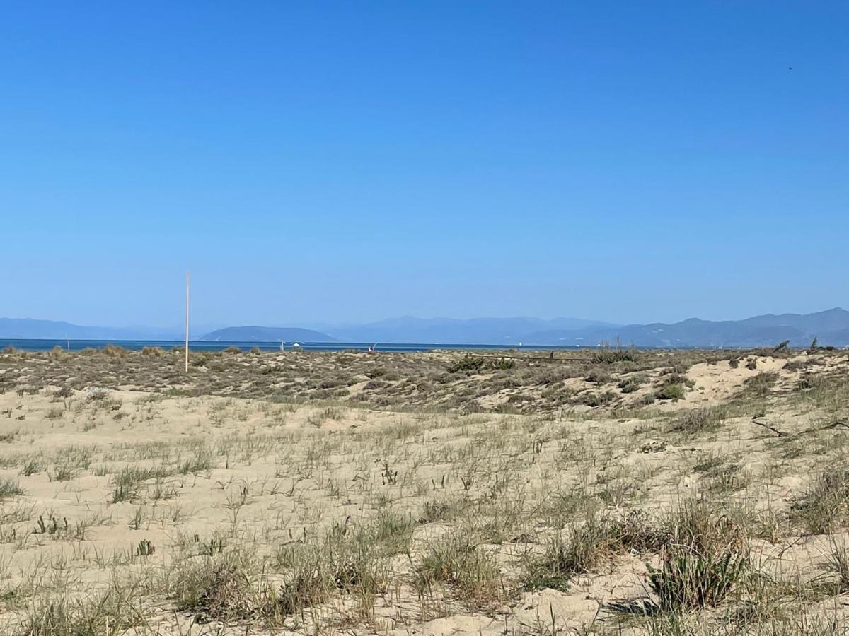 Casa Ceragioli Villa Viareggio Dış mekan fotoğraf