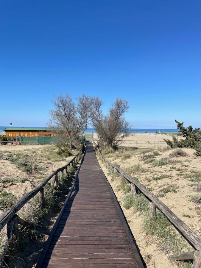 Casa Ceragioli Villa Viareggio Dış mekan fotoğraf